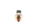 Sensor, drivstofftrykk - F00R004237 BOSCH - F00R002139