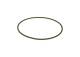 Gummiring - F00R0P0341 BOSCH - 5600735569, 99478121, 8200765841