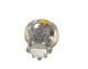 Servopumpe - KS00000147 BOSCH - 4007TQ, 9684531680, 9812612280