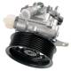 Servopumpe - KS00000754 BOSCH - LR009776, QVB500630, 8001767