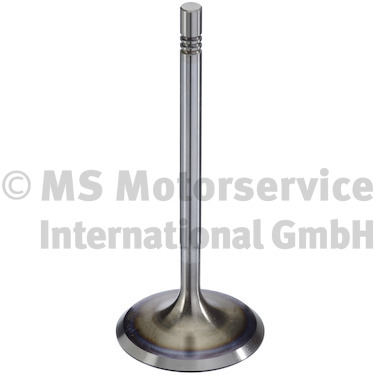 300104, Innløpsventil, Ventil sací IN (1), TRW Engine Component, 9A110531002, 503VE32006000