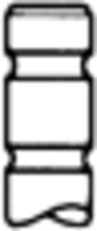 48114, Innløpsventil, Ventil sací IN (1) TD 60, TRW Engine Component, 3825723, 420553, 420553-0, 465548, 0173OSVAT, 037VE31084000, 2158.032, 50004552, R4564, V91204, 2158INTERVALVES