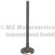 Innløpsventil - 719000 TRW Engine Component - 13711-47010, 2859OSVAT, R6769