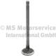 Utløpsventil - 719001 TRW Engine Component - 13715-47010, 2860OSVAT, R6770