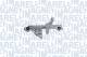 Vindusheis - 350103170439 MAGNETI MARELLI - 9224J0, 01.8102, ZRPG714R