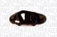 Baklys - 714025673201 MAGNETI MARELLI - 815550H020, 81555-0H020, 815550H070
