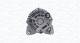 Dynamo - 063732185010 MAGNETI MARELLI - 23100-JD71B, A003TJ3881, 23100JD75M