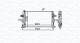 Radiator, motorkjøling - 350213159300 MAGNETI MARELLI - 1300266, 13145211, 0107.3087