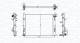 Radiator, motorkjøling - 350213182100 MAGNETI MARELLI - 214100078R, 214106630R, 0109.3124