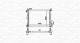 Radiator, motorkjøling - 350213160300 MAGNETI MARELLI - 1061185, 1093713, 1132658
