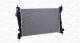 Radiator, motorkjøling - 350213208700 MAGNETI MARELLI - 50528513, DRM01011